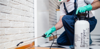 How to Rent a Pest-Free Home to Your Tenants