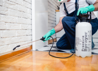 7 Pest Preventative Maintenance Steps For Rental Housing How to Rent a Pest-Free Home to Your Tenants