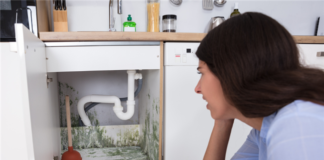 7 Mold Preventative Maintenance Steps For Kitchens And Bathrooms