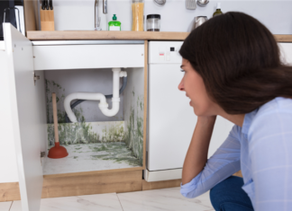 7 Mold Preventative Maintenance Steps For Kitchens And Bathrooms 7 Mold Preventative Maintenance Steps For Kitchens And Bathrooms