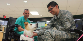 Ultimate guide to assistance animals in rental housing