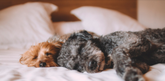 4 Ways Property Managers And Tenants Can Improve Apartment Air Quality