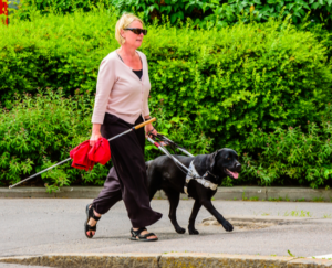 Walking The Dog Leads To HUD Discrimination Charge Against Condo Association