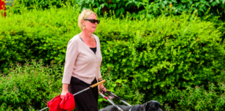 Walking The Dog Leads To HUD Discrimination Charge Against Condo Association