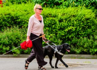 Walking The Dog Leads To HUD Discrimination Charge Against Condo Association