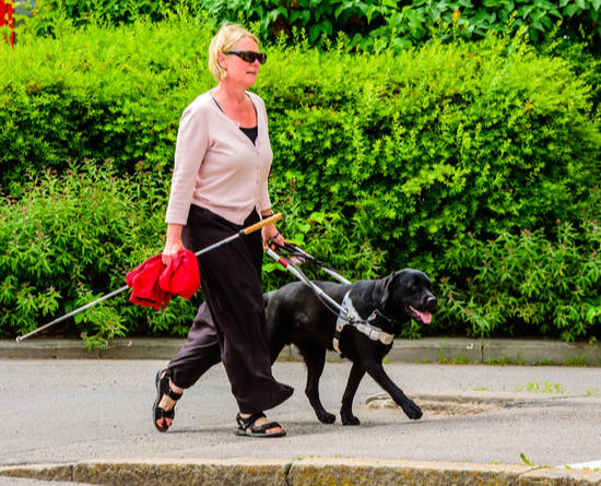 Walking The Dog Leads To HUD Discrimination Charge Against Condo Association