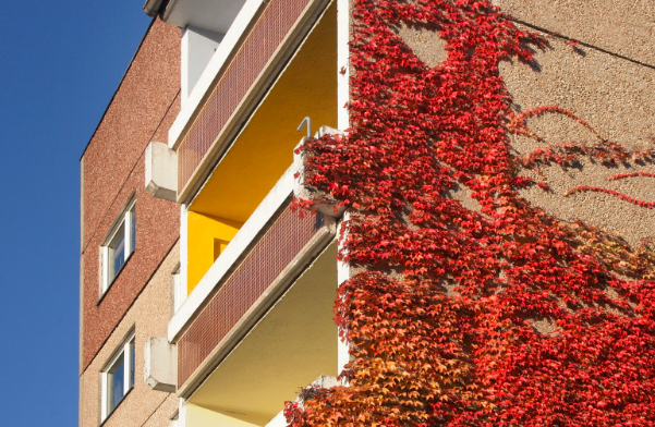 10 Rental Property Maintenance Items To Check This Fall  
