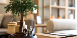 Marijuana And Fair Housing Act Reasonable Accommodations