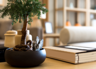 Marijuana And Fair Housing Act Reasonable Accommodations