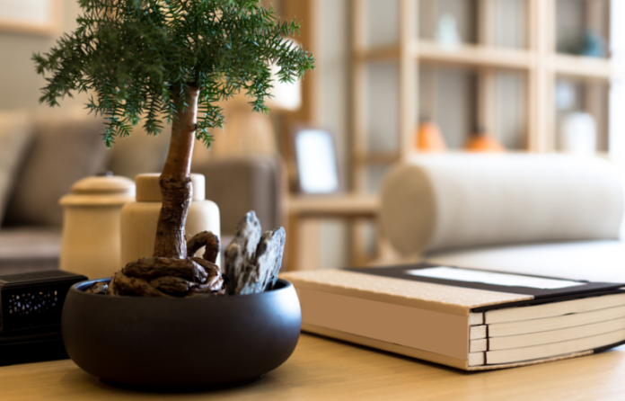 Marijuana And Fair Housing Act Reasonable Accommodations