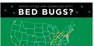 Top 25 Most Bed-Bug Infested Cities