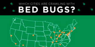 Colorado Governor Signs New Bed Bug Law For Landlords And Tenants