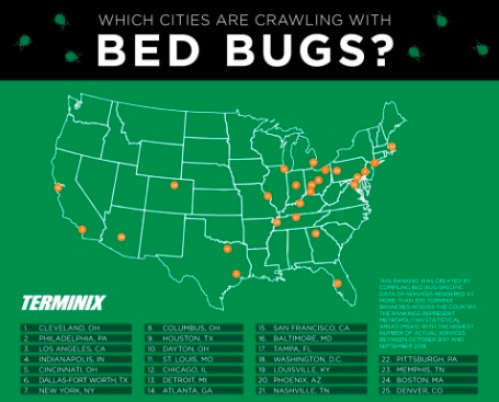 Colorado Governor Signs New Bed Bug Law For Landlords And Tenants