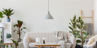 How to Attract Eco-Conscious Tenants With Organic Decor Elements