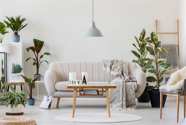 How to Attract Eco-Conscious Tenants With Organic Decor Elements