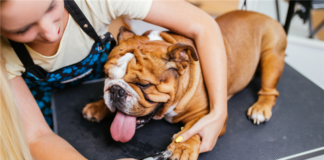 5 Top Unique Apartment Amenities Features For 2019