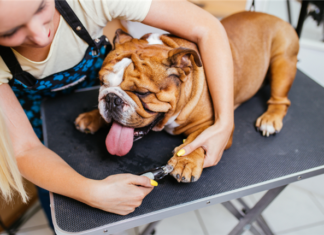 5 Top Unique Apartment Amenities Features For 2019