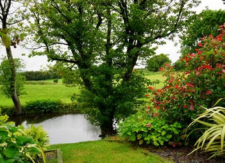 6 Ways To Save Water With The Right Landscaping At Your Property 6 Ways To Save Water With The Right Landscaping At Your Property