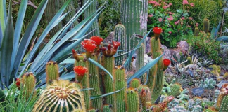 5 Simple Landscaping Maintenance Tips for Property Managers