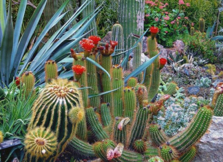 5 Simple Landscaping Maintenance Tips for Property Managers 5 Simple Landscaping Maintenance Tips for Property Managers