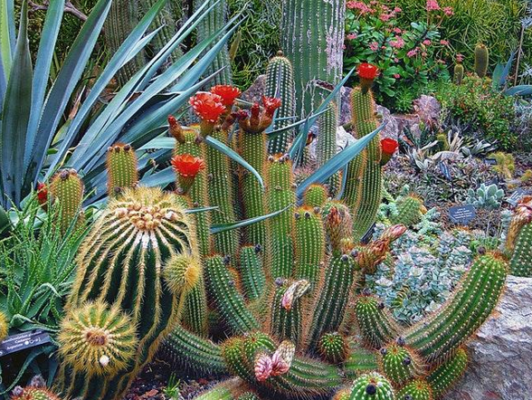 5 Simple Landscaping Maintenance Tips for Property Managers