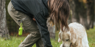 How Pet Poop Testing Fixes Your Apartment Poop Problem