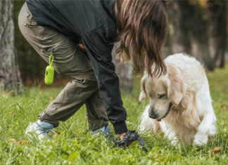 How Pet Poop Testing Fixes Your Apartment Poop Problem