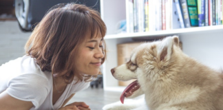 Rental Has No-Pet Policy;  What Are My Rights Regarding Therapy Or Service Dogs?