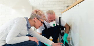 How To Deal With The Most Common Pests In Rental Housing