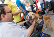 PetScreening and Yardi Announce Pet-Policy Partnership Yardi Matrix and PetScreening have a partnership to help property managers and onsite with pet compliance issues for assistance animals.