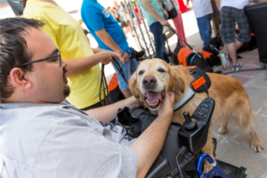 Rental Housing Requests For Assistance Animal Accommodation Shows About 40% Approval