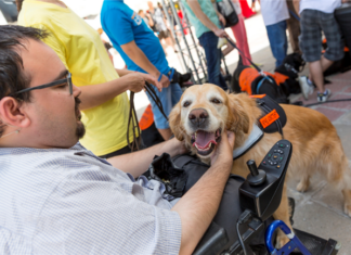 Rental Housing Requests For Assistance Animal Accommodation Shows About 40% Approval