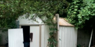 Ask The Utah Attorney: What To Do With Tenant Shed Left Behind?