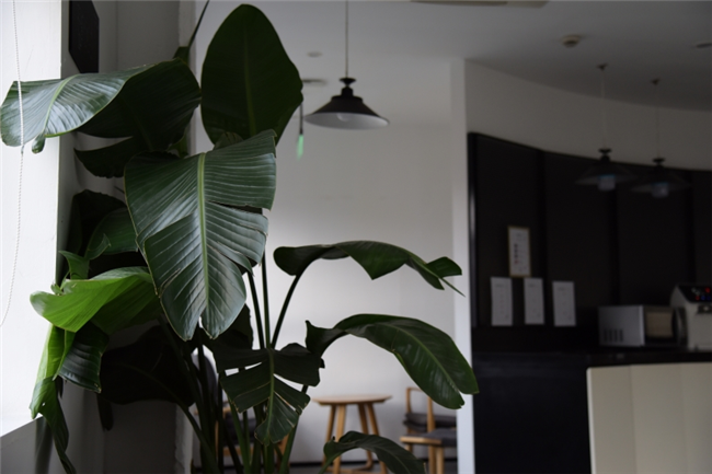 4 Easy Steps to Furnishing Your Short-Term Rental Or Your Airbnb