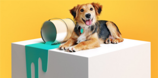 New Pet-Damage Insurance Policies Give Property Managers More Potential Tenants