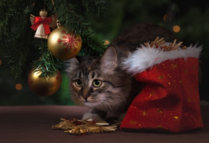 The Biggest Holiday Risks Your Tenants Should Watch For