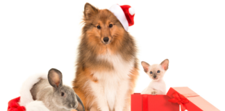 The Biggest Holiday Risks Your Tenants Should Watch For