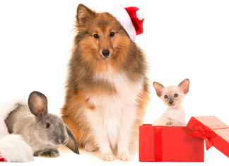 The Biggest Holiday Risks Your Tenants Should Watch For