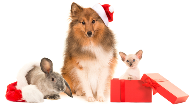 The Biggest Holiday Risks Your Tenants Should Watch For