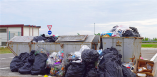 3 Reasons Why You Should Consider Trash Valet Service