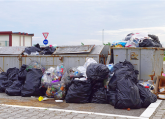 3 Reasons Why You Should Consider Trash Valet Service