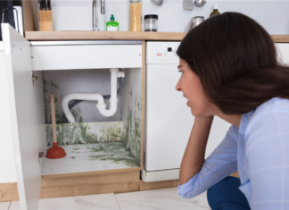 Summer Humidity: 5 Steps To Find Mold Problems in Your Rental Property 5 Steps To Detect Mold Problems in Your Properties