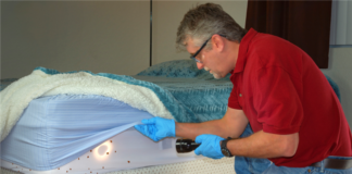 bed bug removal ask landlord hank