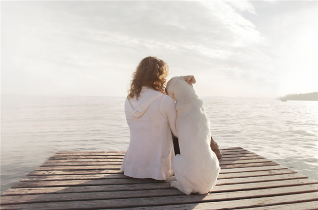 emotional support animals are not pets