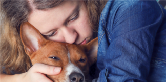 Everything Landlords Should Know About Emotional Support Animals