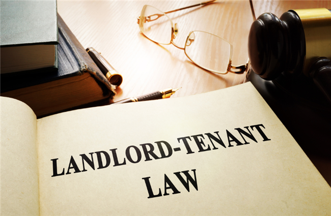 andlord tenant law and covid-19
