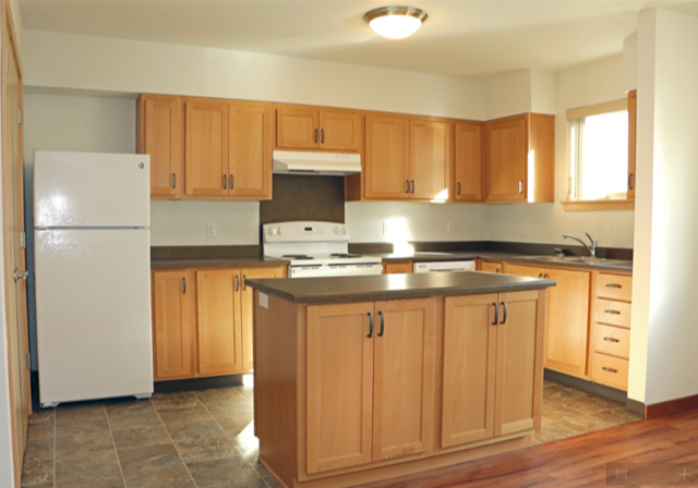 Kitchen Range Hood Options for Your Rentals