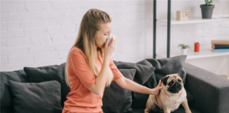 Emotional support dog - Landlord must pay tenant whose allergies were triggered by neighbor's emotional support dog