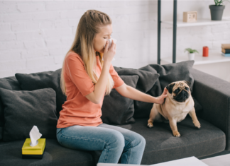 Emotional support dog - Landlord must pay tenant whose allergies were triggered by neighbor's emotional support dog