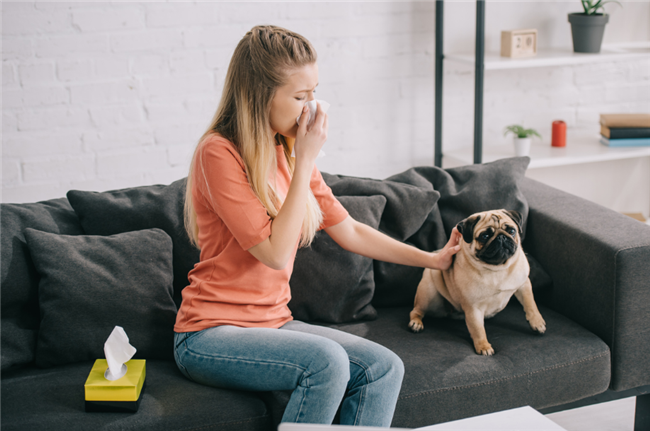 Emotional support dog - Landlord must pay tenant whose allergies were triggered by neighbor's emotional support dog